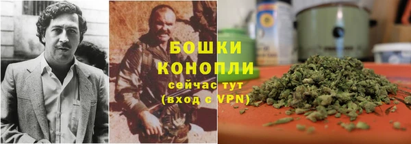 PSILOCYBIN Белоозёрский