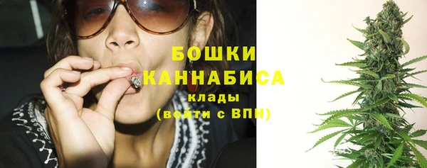 прущий лед Белокуриха