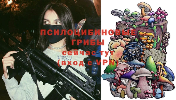 прущий лед Белокуриха